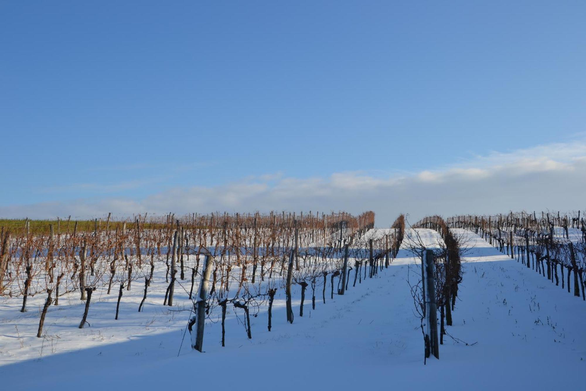 Wein + Bett Wiedeck Stetten Экстерьер фото